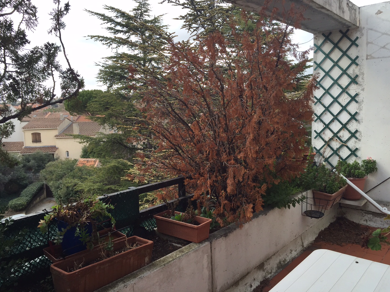 TYPE 3/4 PLAN DE CUQUES centre 