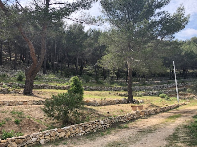 VILLA CAMPAGNE 7 hectares allauch ALLAUCH 