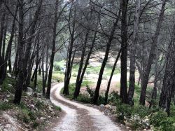 VILLA CAMPAGNE 7 hectares allauch ALLAUCH 